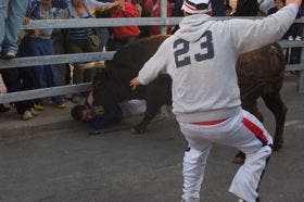 El encierro del «Toro de la Feria» concluyó con varios heridos