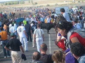 La Junta declara los encierros de Olmedo de Interés Turístico Regional