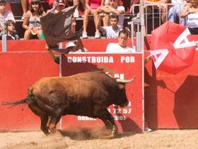 Matapozuelos inicia el martes las celebraciones patronales de Santa María Magdalena