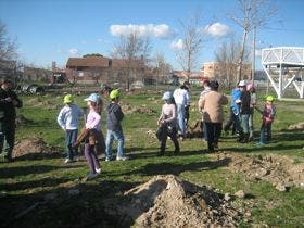 Ataquines celebró hoy el Día del Arbol