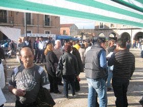 Rotundo éxito de la Fiesta del Verdejo en la localidad de La Seca