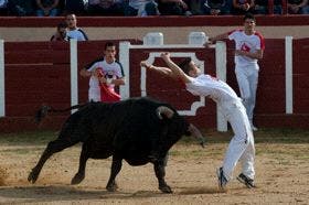 Dany Alonso, ganador del Concurso de Cortes de Fresno El Viejo