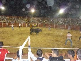 Matapozuelos: La proclamación de Reinas abrirá las fiestas locales