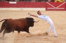 Víctor Holgado, campeón del Concurso de Cortes “Villa de Medina del Campo”