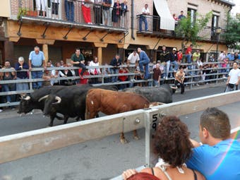 Dos personas resultan heridas en el encierro de hoy de Medina del Campo