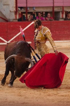 Eduardo Gallo, premiado con el XIX Trofeo “Villa de Medina” a la mejor faena de San Antolín