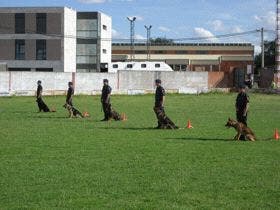 Cientos de medinenses acudieron a Acción Católica para ver la exhibición de la Guardia Real