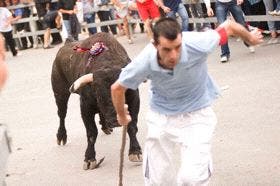 Un varón fue doblemente corneado en la tercera edición del Toro de la Feria de Medina del Campo