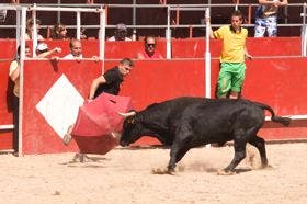 El alcalde de Matapozuelos valora «positivamente» las fiestas de Santa María Magdalena