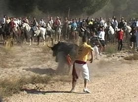 Tordesillas: Oscar «Zamorano», vencedor del Torneo del Toro de la Vega