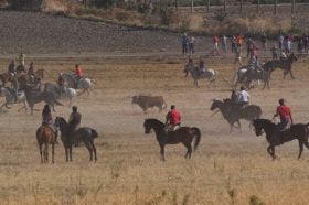 Olmedo: De la mano de «La Soterraña» llega el último encierro de novillos del año