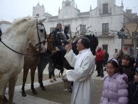 Nava del Rey ecuperó la tradición de la bendición de animales