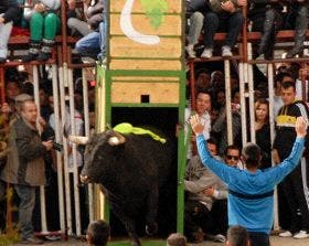 La Seca: Exito total de la Fiesta del Verdejo 2012