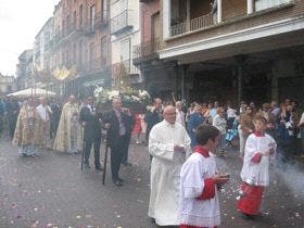 Medina del Campo: Centenares de personas concurrieron ayer a la procesión del Corpus