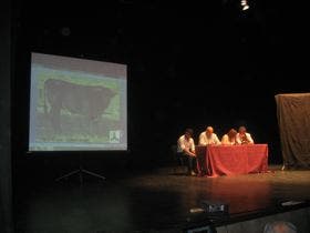 Presentados, a bombo y platillo, los festejos taurinos y los toros de los encierros de San Antolín 2012