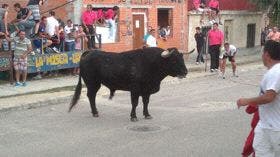 El Carpio: Exito de público y fiesta en el «Toro de Santiago»