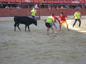 Medina del Campo: El «Grand Prix» congrega a miles de personas en la plaza de toros