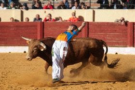 Olmedo: Rubén Sánhez, ganador del XIX Concurso de cortes de novillos