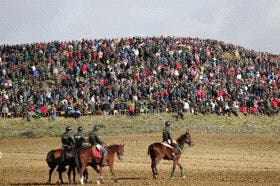 Medina del Campo: El Nacional de Galgos sin resultados definitivos en su primera jornada