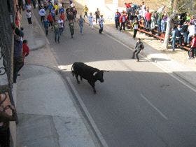 La Seca: La suelta del «Toro Sarmiento» concentró a más de 4.000 personas