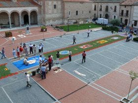 Olmedo prepara una alfombra floral de 280 metros cuadrados para la procesión del Corpus