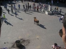 Alaejos: Ante un verdadero gentío se lidiaron dos «toros del cajón»