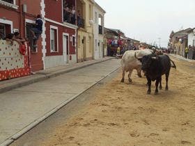 Valdestillas: Mañana comienzan las Fiestas Patronales del Milagro y San Isidro