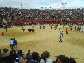 Una mujer herida en la quinta edición del «Toro de la Feria» de Medina del Campo