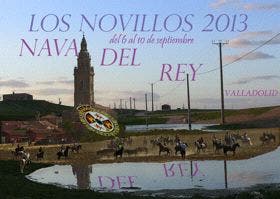 Nava del Rey: Un trabajo de Fernando Jesús González, «portada» de «Los Novillos 2013»