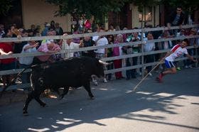 Complicado encierro el desarrollado hoy en Medina del Campo