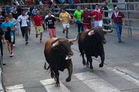 El cuarto encierro de Medina del Campo se desarrolla de forma rápida y limpia