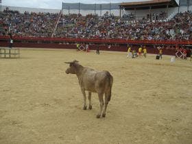 Cuatro equipos de las peñas de COPELIN vuelven a batirse en el Grand Prix