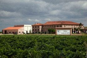 Cuatro vinos de Bodegas Castelo de Medina alcanzan los 91 puntos en la Guía Peñín