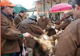 Matapozuelos: Ocho establecimientos ofertarán sus tapas durante las «Jornadas del mondongo»