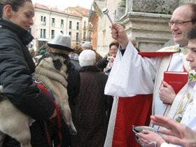 Medina del Campo: San Antón bendijo a las mascotas de los medinenses