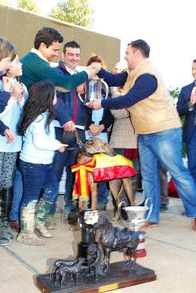 El Viso del Alcor: Dona de Medinaceli, campeona del LXXVI Nacional de Galgos