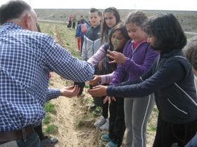 Escolares del Lope de Vega y el CLEFEDE celebran el Día del Árbol