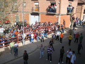 La Seca: La Fiesta del Verdejo llegará este año con 2 toros del cajón