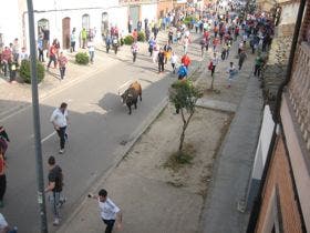 La Seca: «Castañito», Toro del Sarmiento, concentró a 5.000 personas