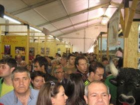 Medina del Campo: Sergio Vegas, Rui Fernandes y Moura Caetano, en el cartel taurino de San Antolín