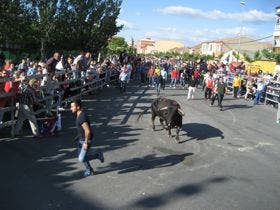 Más de 20.000 personas se dan cita en Medina para ver a «Pasteloso»