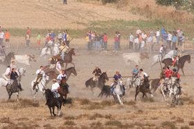 Olmedo: El lunes comienzan los trámites para participar a caballo en los encierros