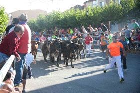 Entran los seis toros en el tercer encierro de Medina del Campo