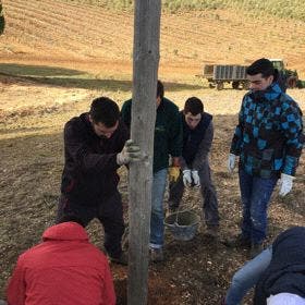 Instalan cajas-nido para mochuelos y lechuzas en Rueda y Torrecilla del Valle