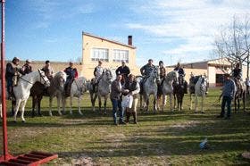 Fresno El Viejo inicia sus Carnavales con «Vacas de Trapo» y carreras de cintas a caballo