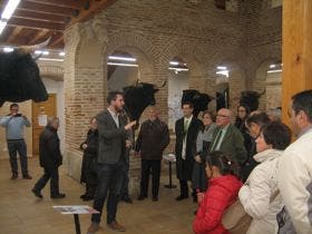 Medina del Campo: Inaugurada la exposición «Una Mirada de Arte y Trapío»