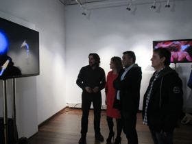 Inaugurada la exposición de videoarte «Inestabilidad y Metamorfosis»