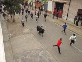 La Seca: Al finalizar la suelta del «Toro Sarmiento» apareció la temida lluvia