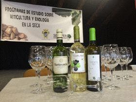 La Seca: «Martinsancho», de Bodegas Rodríguez Vidal, Premio Sarmiento al mejor Verdejo 2014 de la D.O. Rueda