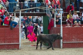 Valdestillas: Arrancan las fiestas de «El Milagro» y San Isidro